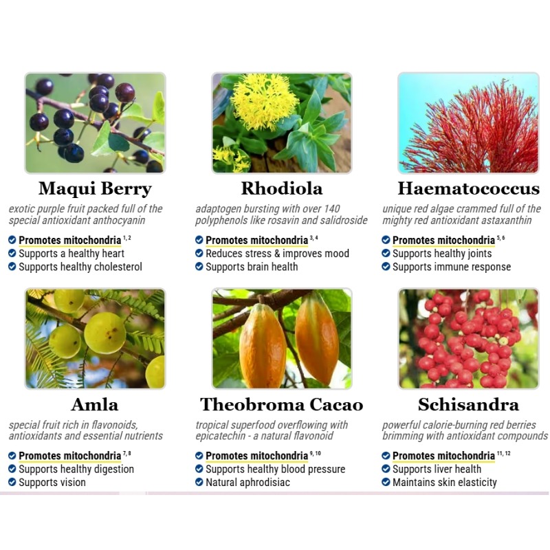 Mitolyn Weight Loss - Image 3